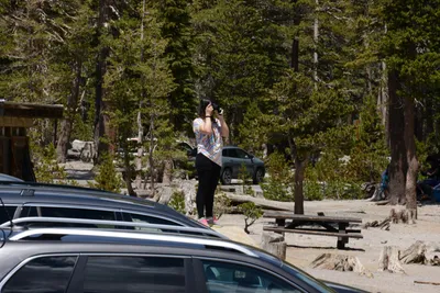 DSC_3175 (Large).JPG